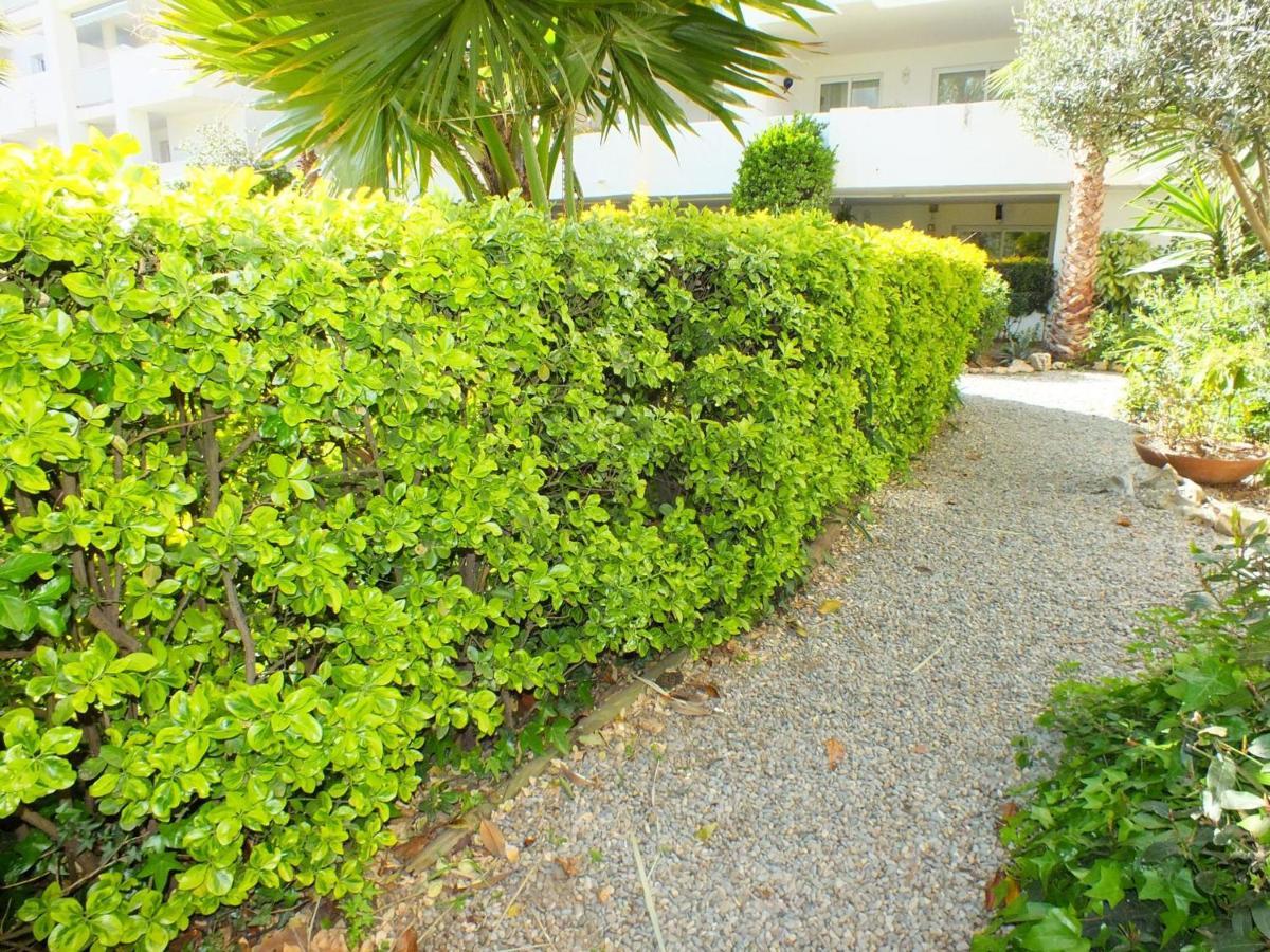 En Planta Baja Con Piscina Comunitaria En Roses, Cerca De Playas Y Actividades - Es-204-47 Apartamento *